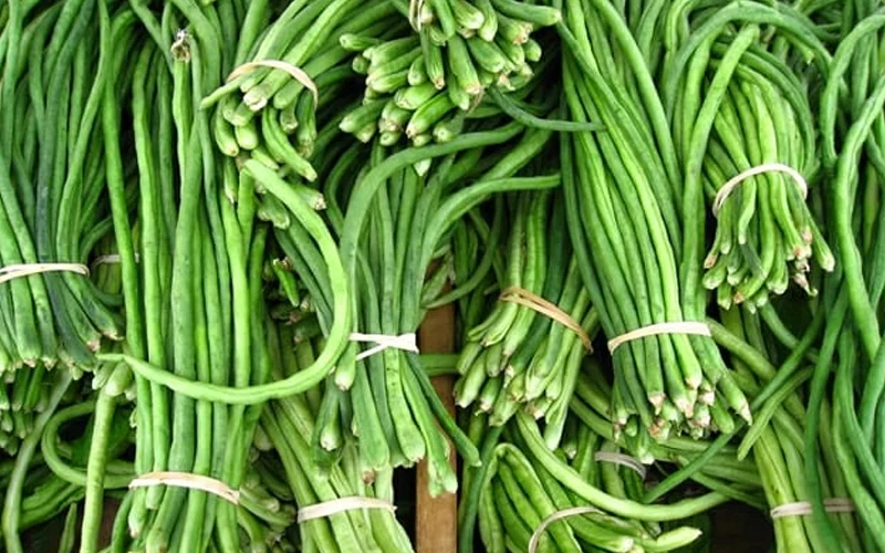 kacang
